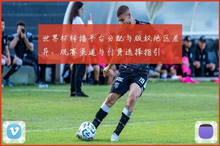 世界杯转播平台分配与版权地区差异,观赛渠道与付费选择指引