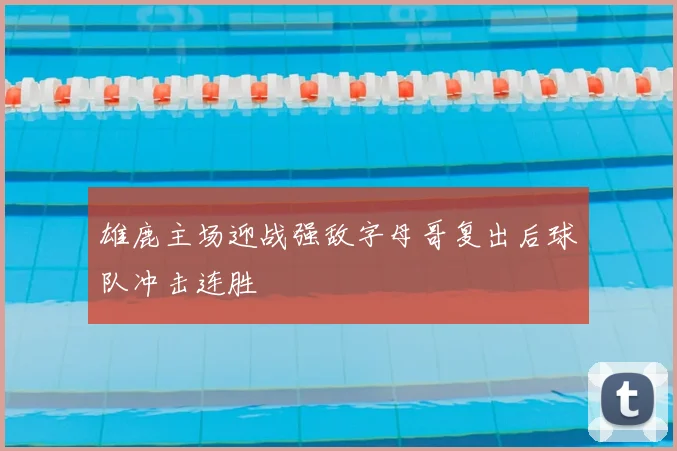雄鹿主场迎战强敌字母哥复出后球队冲击连胜