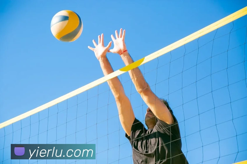 云开·kaiyun(中国)体育官方网站 - 登录入口平台生态图